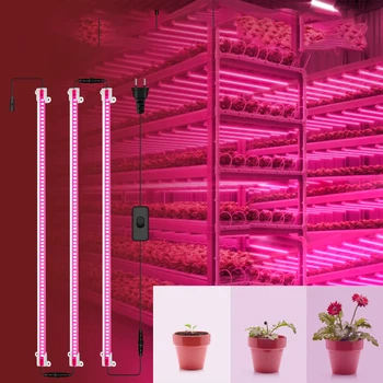 Растения С Полным спектром светодиодных ламп для выращивания цветов, палатка для выращивания цветов, комплект Фито-ламп для выращивания овощей в помещении
