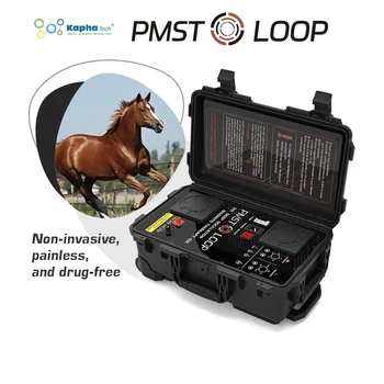Машина для электромагнитной терапии лошадей PEMF с одиночной петлей и петлей-бабочкой PMST для лечения животных